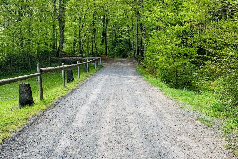 gravel driveway vs asphalt driveway